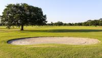 City Park Golf Course, New Orleans, LA