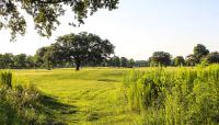 City Park Golf Course, New Orleans, LA