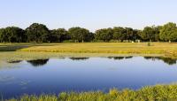 City Park Golf Course, New Orleans, LA