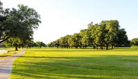 City Park Golf Course, New Orleans, LA