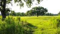 City Park Golf Course, New Orleans, LA