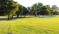 City Park Golf Course, New Orleans, LA