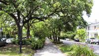 Coliseum Square, New Orleans, LA