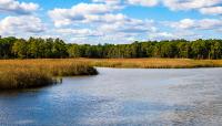 Colonial Parkway, Williamsburg, VA