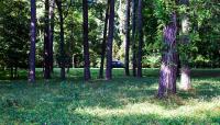 Colonial Parkway, Williamsburg, VA