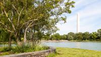 Constitution Gardens, Washington, DC