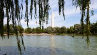 Constitution Gardens, Washington, DC