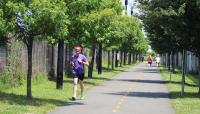 Metropolitan Branch Trail, Washington, D.C.