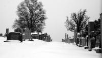 Mount Olivet Cemetery, Washington, DC