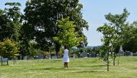 Mount Olivet Cemetery, Washington, DC