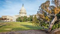 U.S. Capitol Grounds, Washington, D.C.