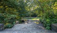 Washington National Cathedral - Olmsted Woods, Washington, D.C.