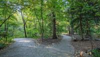 Washington National Cathedral - Olmsted Woods, Washington, D.C.