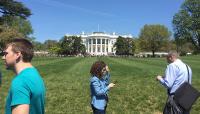 White House Grounds, Washington, D.C.