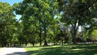 Dorothea Dix Park, Raleigh, NC