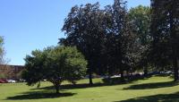 Dorothea Dix Park, Raleigh, NC