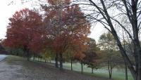 Dorothea Dix Park, Raleigh, NC