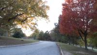 Dorothea Dix Park, Raleigh, NC