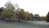 Dorothea Dix Park, Raleigh, NC