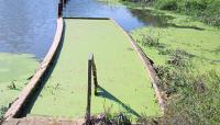 Greenwood Pond: Double Site, Des Moines, IA 