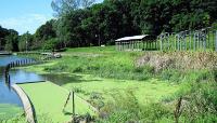 Greenwood Pond: Double Site, Des Moines, IA 