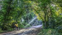 Katy Trail, Charrette Township, MO