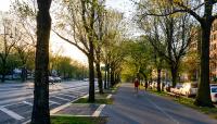 Eastern Parkway, Brooklyn, NY