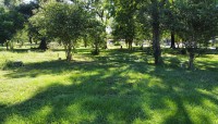 Evergreen Negro Cemetery, Houston, TX