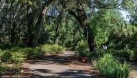 Bok Tower Gardens, Lake Wales, FL