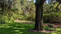 Bok Tower Gardens, Lake Wales, FL