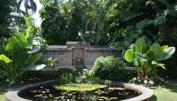 Photo courtesy Fairchild Tropical Botanic Garden::2007::The Cultural Landscape Foundation