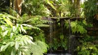Photo courtesy Fairchild Tropical Botanic Garden::2008::The Cultural Landscape Foundation