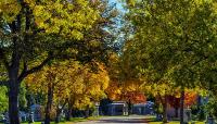 Fairmount Cemetery, Denver, CO 