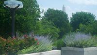 Federal Reserve Board Garden, Washington, DC