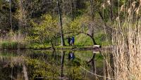 Forest Park, Queens, NY