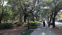 Forsyth Park, Savannah, GA