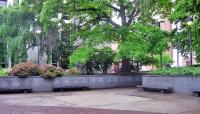 Founders Garden at Temple University, Philadelphia, PA