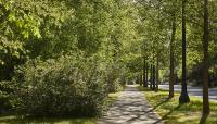 Deepdene Park at Druid Hills, Atlanta, GA