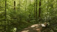 Deepdene Park at Druid Hills, Atlanta, GA