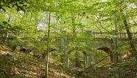 Deepdene Park at Druid Hills, Atlanta, GA