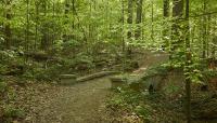 Deepdene Park at Druid Hills, Atlanta, GA