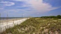 Hog Hammock, Sapelo Island, GA