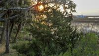 Hog Hammock, Sapelo Island, GA