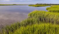 Hog Hammock, Sapelo Island, GA