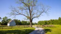 Gaines' Mill, Mechanicsville, VA