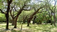 Greynolds Park, North Miami Beach, FL