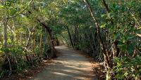 Greynolds Park, North Miami Beach, FL