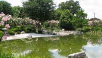 Hermann Park Japanese Garden, Houston, TX