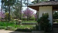 Hermann Park Japanese Garden, Houston, TX