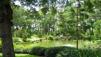 Hermann Park Japanese Garden, Houston, TX 